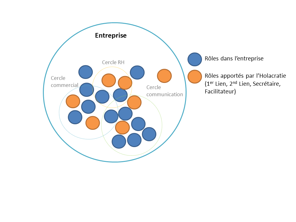 Structure en Holacratie - Vue 2