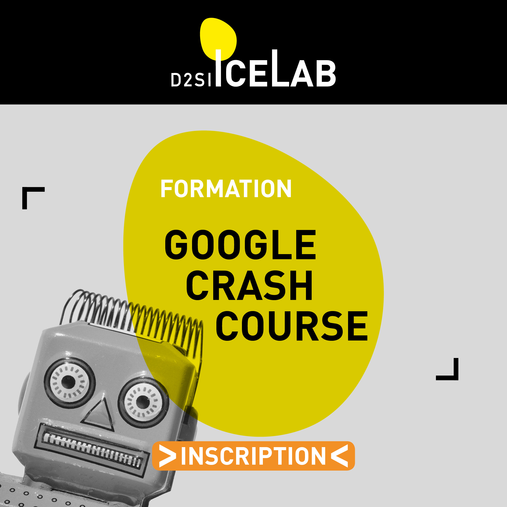 Google crash course ICELAB